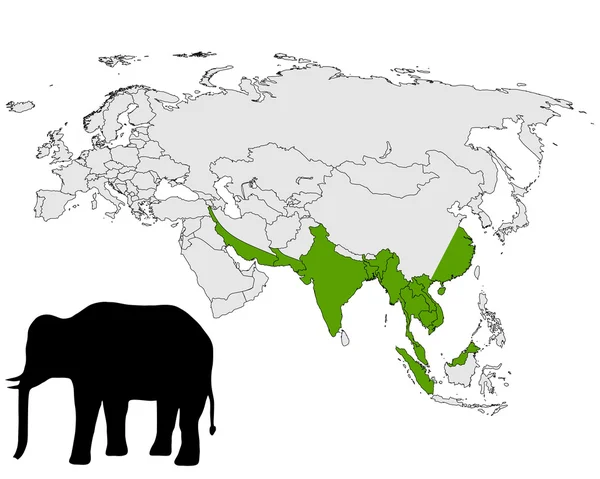 Gamma di elefanti asiatici — Foto Stock