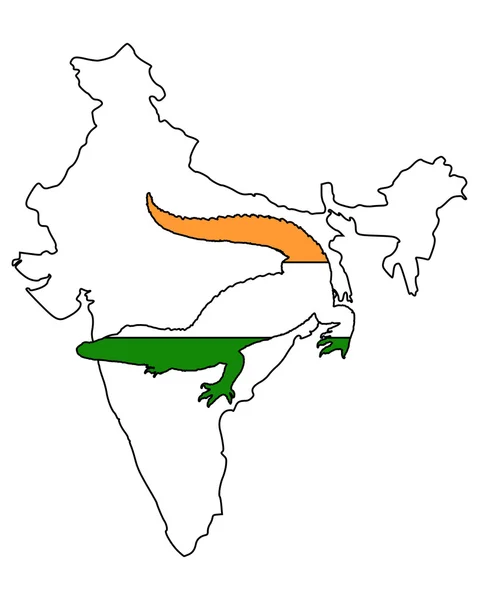 Crocodilo Índia — Fotografia de Stock