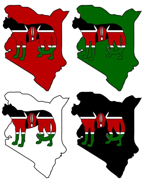 Гепард Кенії — стокове фото