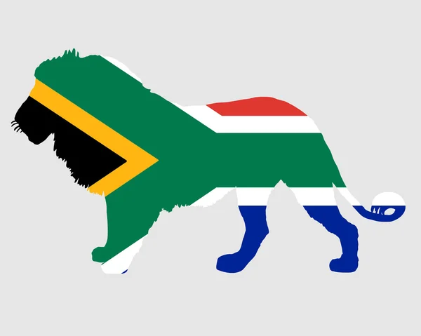 Lev Jihoafrická republika — Stock fotografie