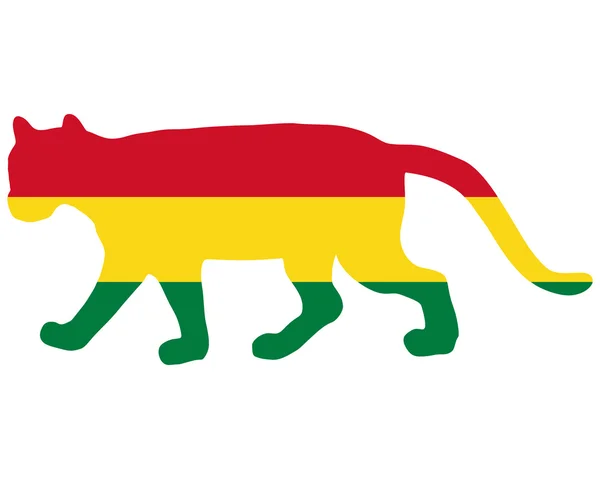 美洲狮玻利维亚 — 图库照片