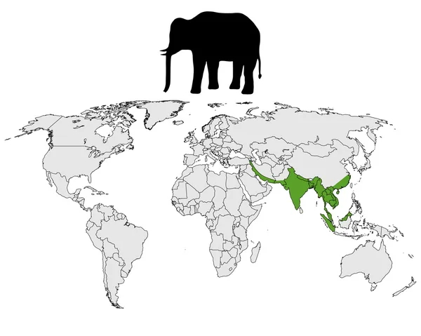 アジアゾウの範囲 — ストック写真