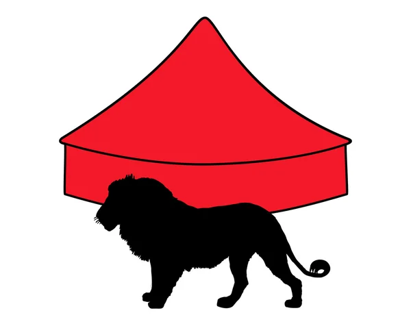 Lion in circus — Stock Photo, Image