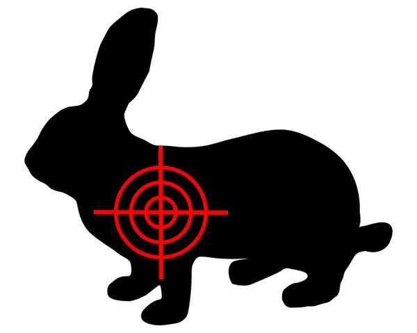 Заяц перекресток — стоковое фото