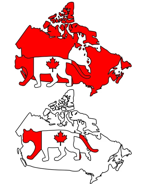 美洲狮加拿大 — 图库照片