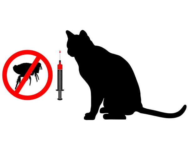 Vacunación contra pulgas de gato — Foto de Stock