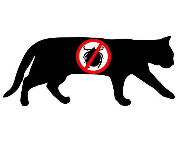 禁止されている猫のダニ — ストック写真