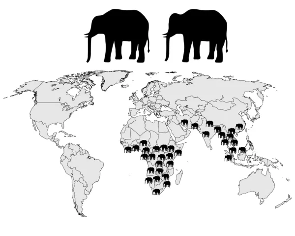 Gamma di elefanti — Foto Stock