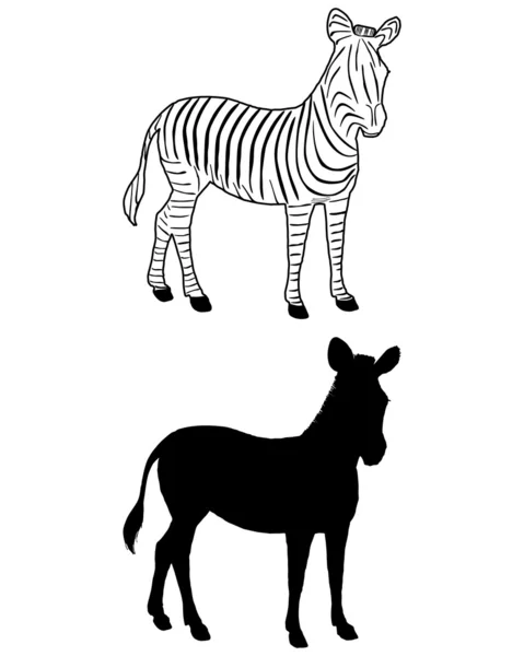 Sílhueta zebra — Fotografia de Stock