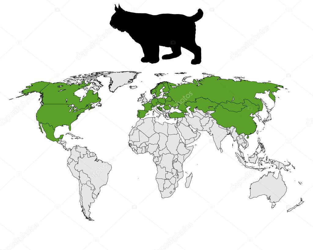 Lynx range map — Stock Photo © lantapix #5470102