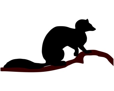 European Pine Marten silhouette clipart