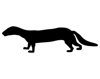 Polecat silhouette clipart