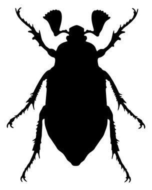 Cockchafer silhouette clipart