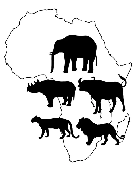 Afrika der großen Fünf — Stockfoto