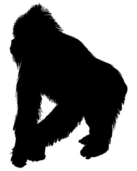 Gorila silueta — Stock fotografie