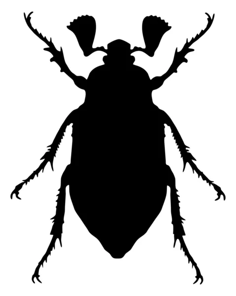 Cockchafer silhouette — Stock Photo, Image