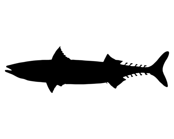 Sylwetka makrela Atlantycka — Zdjęcie stockowe