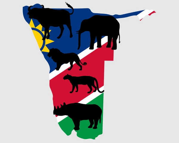 Grote vijf Namibië — Stockfoto