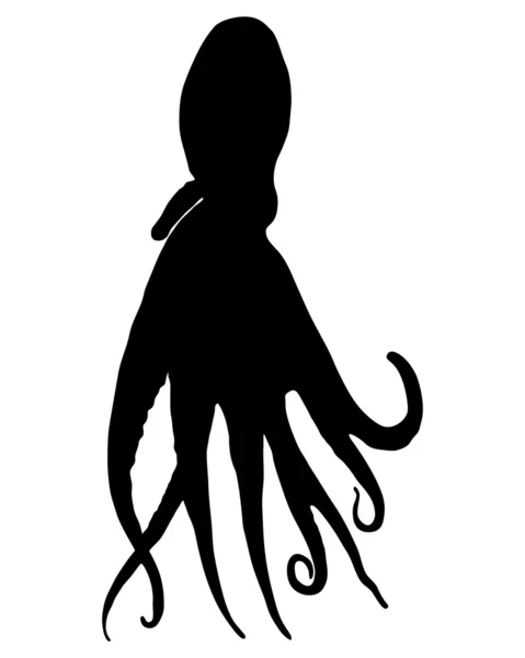 Octopus Silhouette — Stock Photo, Image