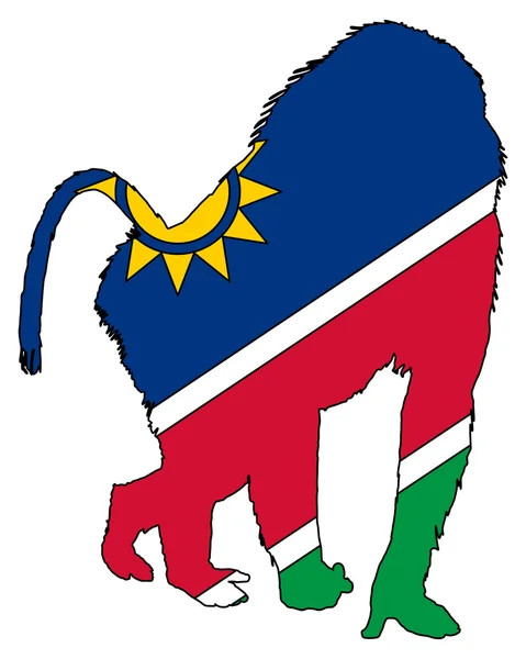 Baboon Namibia — Stock Photo, Image