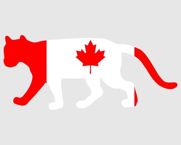 Cougar Canada — Photo