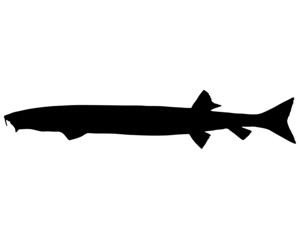 Sílhueta de salmão com bicos — Fotografia de Stock