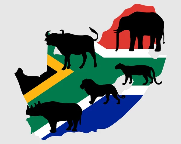 Grote vijf Zuid-Afrika — Stockfoto