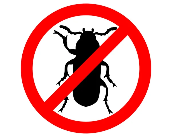 ゴミムシダマシの幼虫を禁止 — ストック写真