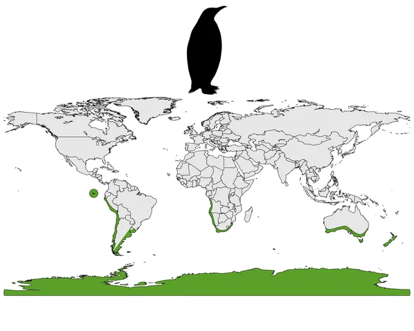 Gama de pinguins — Fotografia de Stock
