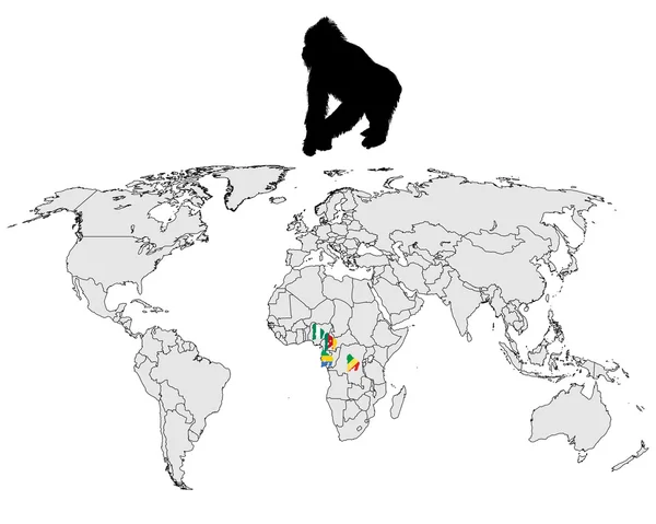 Världen gorilla utbud — Stockfoto