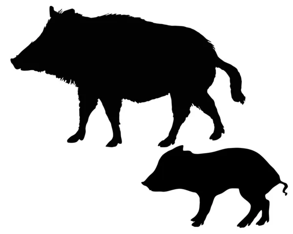 Yaban domuzları silhouettes — Stok fotoğraf