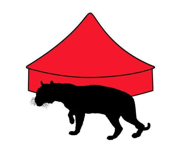 Tiger in circus — Stock Photo, Image