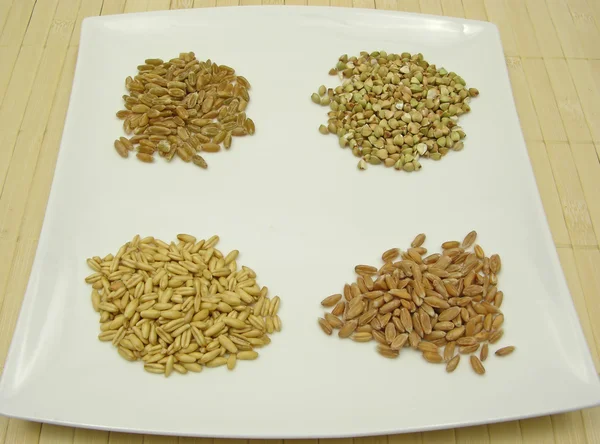 Чотири різні зерна на білій тарілці — стокове фото