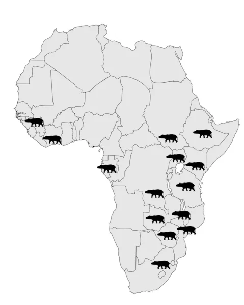 Hippo Afrika bereik — Stockfoto