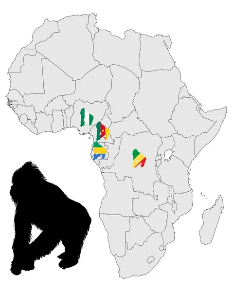 Africa Gorilla range — Stock Photo, Image