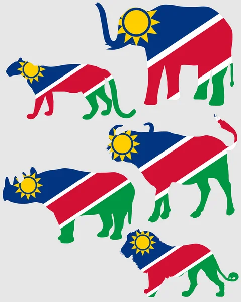 Cinco grandes Namibia — Foto de Stock