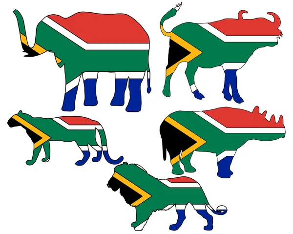 Velký pět Jižní Afrika — Stock fotografie