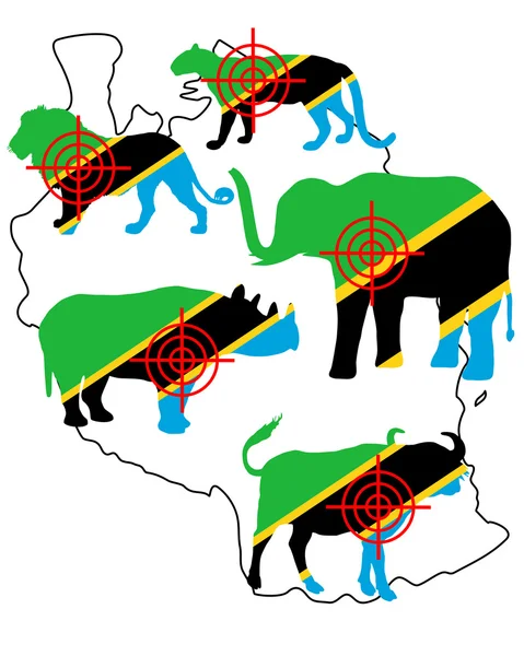 Big Five Tanzania cross lines — Stock Photo, Image