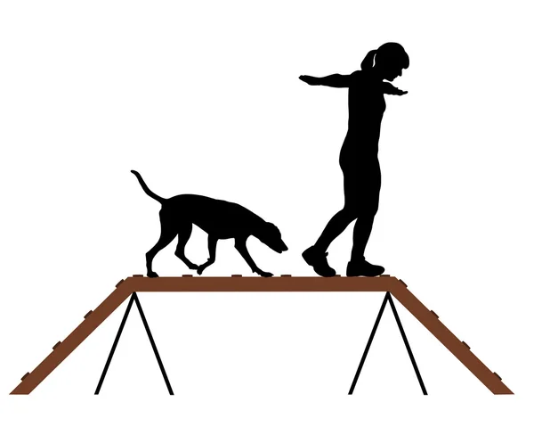 Mulher e cão na passarela — Fotografia de Stock