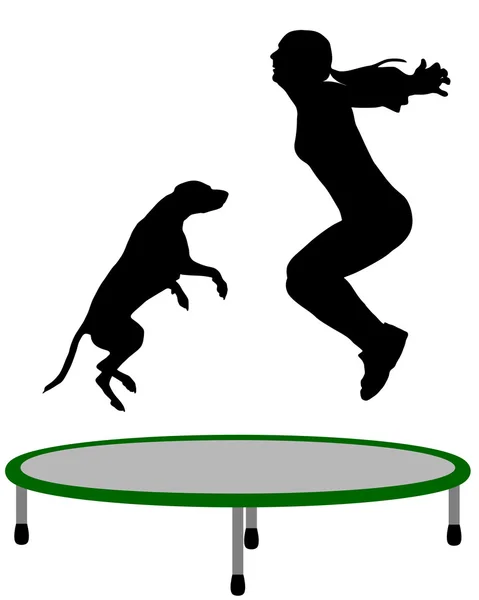 Woman and dog trampoline — Stock Photo, Image