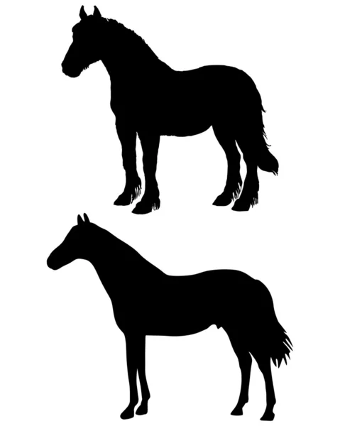 Силуэты лошадей — стоковое фото