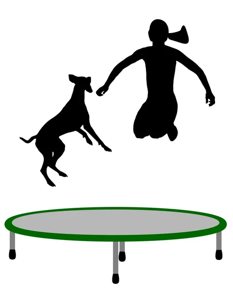 Nő és kutya trambulin — Stock Fotó