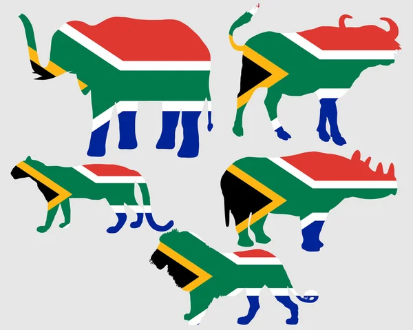 Big Five Afrique du Sud — Photo