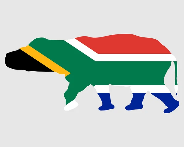 Nilpferd Südafrika — Stockfoto