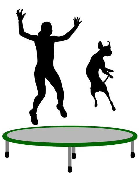 Mulher e cão trampolim — Fotografia de Stock
