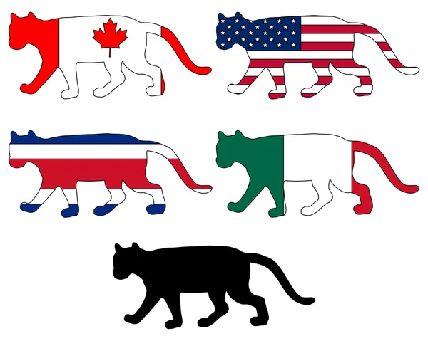 Cougar flags — Stock Photo, Image