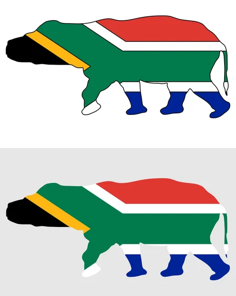 Hippo África do Sul — Fotografia de Stock