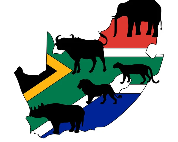 Die fünf großen südafrikanischen Länder — Stockfoto