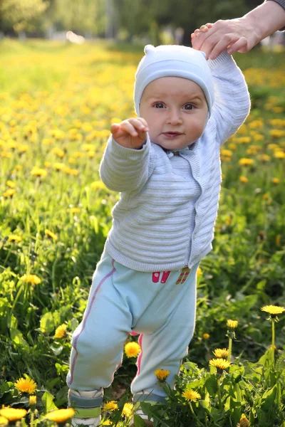 çimenlerin üzerinde kalan küçük çocuk bebek