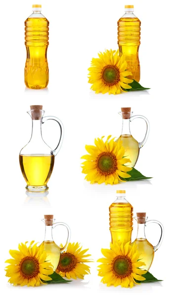 Joukko pulloja jad kannuja auringonkukkaöljyä kukkia eristetty — kuvapankkivalokuva